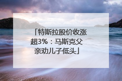 特斯拉股价收涨超3%：马斯克父亲劝儿子低头