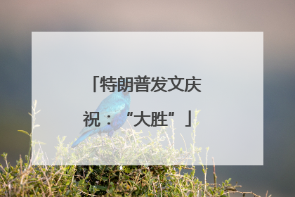 特朗普发文庆祝：“大胜”