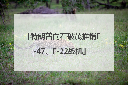 特朗普向石破茂推销F-47、F-22战机