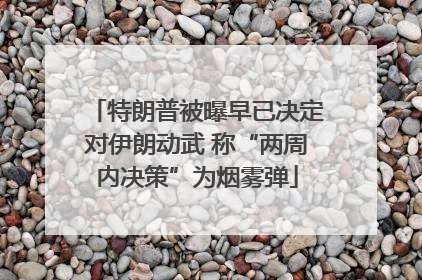 特朗普被曝早已决定对伊朗动武 称“两周内决策”为烟雾弹