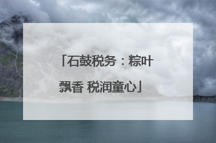 石鼓税务：粽叶飘香 税润童心