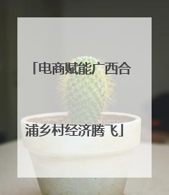 电商赋能广西合浦乡村经济腾飞