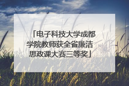 电子科技大学成都学院教师获全省廉洁思政课大赛三等奖