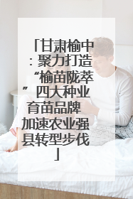 甘肃榆中：聚力打造“榆苗陇萃”四大种业育苗品牌 加速农业强县转型步伐