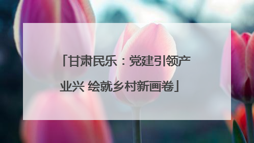 甘肃民乐：党建引领产业兴 绘就乡村新画卷