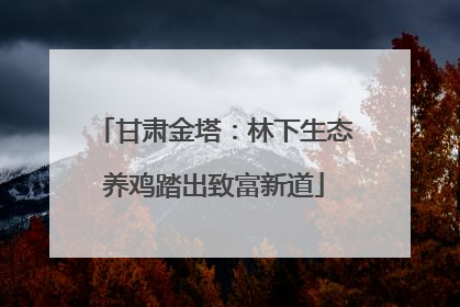 甘肃金塔：林下生态养鸡踏出致富新道