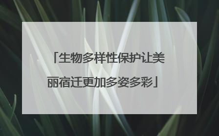 生物多样性保护让美丽宿迁更加多姿多彩
