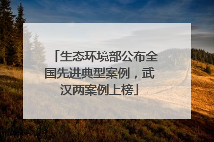 生态环境部公布全国先进典型案例，武汉两案例上榜