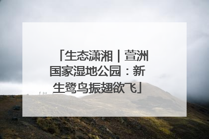 生态潇湘｜萱洲国家湿地公园：新生鹭鸟振翅欲飞