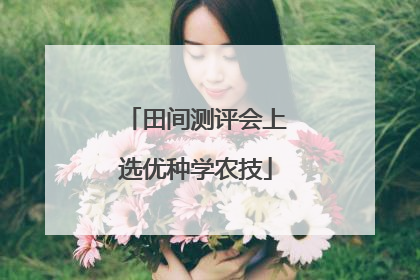 田间测评会上选优种学农技