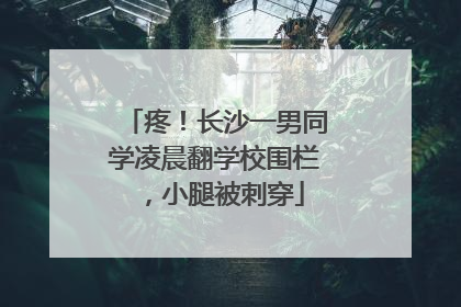 疼！长沙一男同学凌晨翻学校围栏，小腿被刺穿