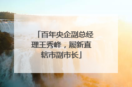 百年央企副总经理王秀峰，履新直辖市副市长