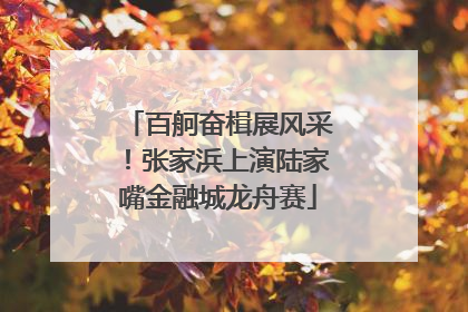 百舸奋楫展风采！张家浜上演陆家嘴金融城龙舟赛