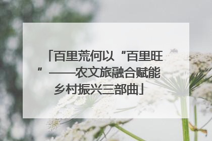百里荒何以“百里旺”——农文旅融合赋能乡村振兴三部曲