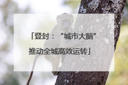 登封：“城市大脑”推动全城高效运转