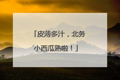 皮薄多汁，北务小西瓜熟啦！