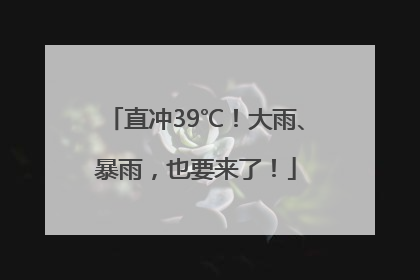 直冲39℃！大雨、暴雨，也要来了！