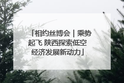 相约丝博会｜乘势起飞 陕西探索低空经济发展新动力