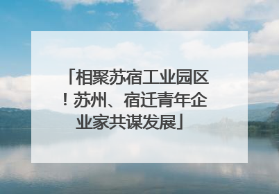 相聚苏宿工业园区！苏州、宿迁青年企业家共谋发展