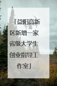 益阳高新区新增一家省级大学生创业指导工作室