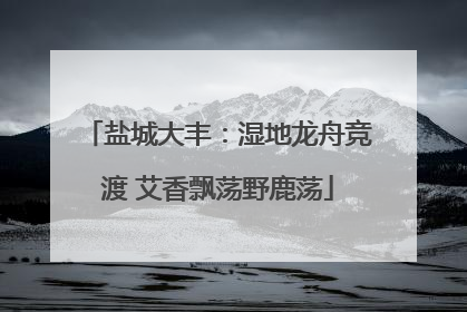 盐城大丰：湿地龙舟竞渡 艾香飘荡野鹿荡