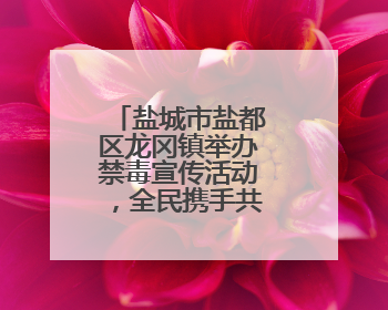 盐城市盐都区龙冈镇举办禁毒宣传活动，全民携手共筑禁毒防线