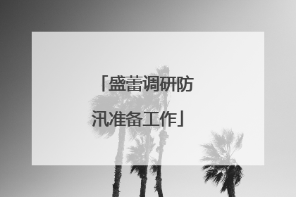 盛蕾调研防汛准备工作