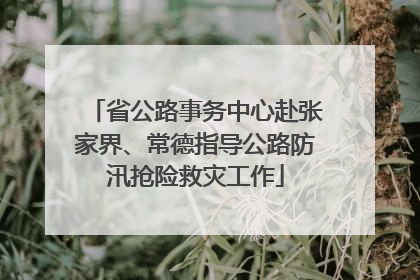 省公路事务中心赴张家界、常德指导公路防汛抢险救灾工作