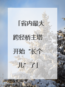 省内最大跨径桥主塔开始“长个儿”了