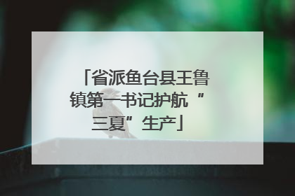 省派鱼台县王鲁镇第一书记护航“三夏”生产
