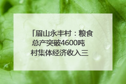 眉山永丰村：粮食总产突破4600吨 村集体经济收入三年倍增｜牵挂的村