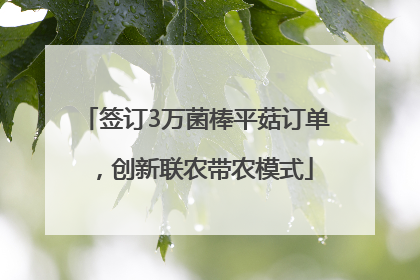 签订3万菌棒平菇订单，创新联农带农模式