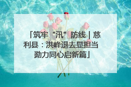 筑牢“汛”防线｜慈利县：洪峰退去显担当 勠力同心启新篇
