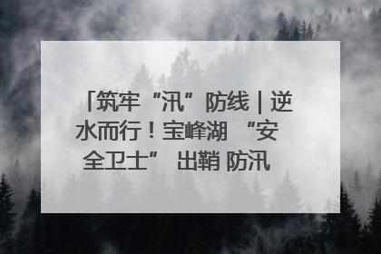 筑牢“汛”防线｜逆水而行！宝峰湖 “安全卫士” 出鞘 防汛应急再添硬核力量