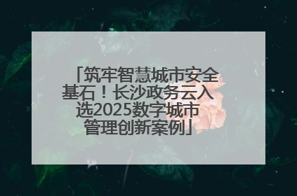 筑牢智慧城市安全基石！长沙政务云入选2025数字城市管理创新案例