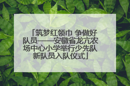 筑梦红领巾 争做好队员——安徽省龙亢农场中心小学举行少先队新队员入队仪式