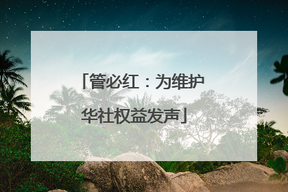 管必红：为维护华社权益发声