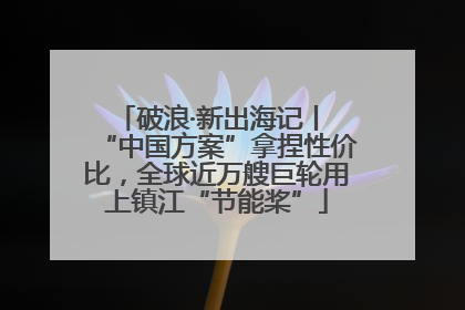破浪·新出海记丨 “中国方案”拿捏性价比，全球近万艘巨轮用上镇江“节能桨”