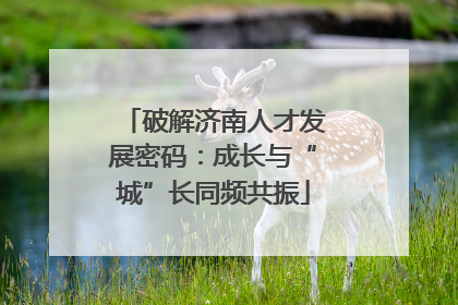 破解济南人才发展密码：成长与“城”长同频共振