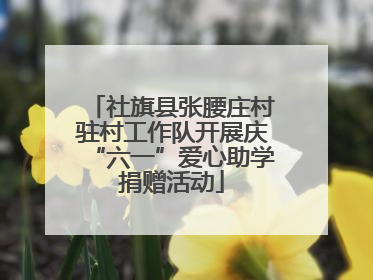 社旗县张腰庄村驻村工作队开展庆“六一”爱心助学捐赠活动