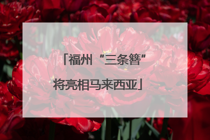 福州“三条簪”将亮相马来西亚
