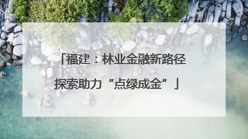 福建：林业金融新路径探索助力“点绿成金”