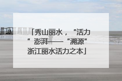 秀山丽水，“活力”澎湃——“溯源”浙江丽水活力之本