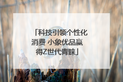 科技引领个性化消费 小象优品赢得Z世代青睐