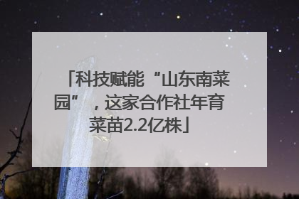 科技赋能“山东南菜园”，这家合作社年育菜苗2.2亿株