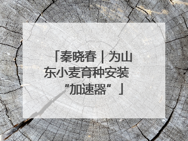 秦晓春｜为山东小麦育种安装“加速器”
