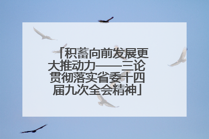 积蓄向前发展更大推动力——三论贯彻落实省委十四届九次全会精神