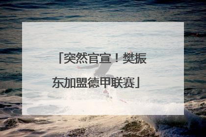 突然官宣！樊振东加盟德甲联赛