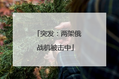 突发：两架俄战机被击中
