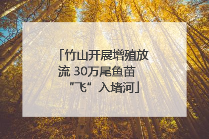 竹山开展增殖放流 30万尾鱼苗“飞”入堵河
